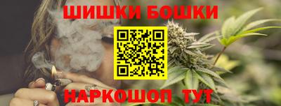 гашик Тулун