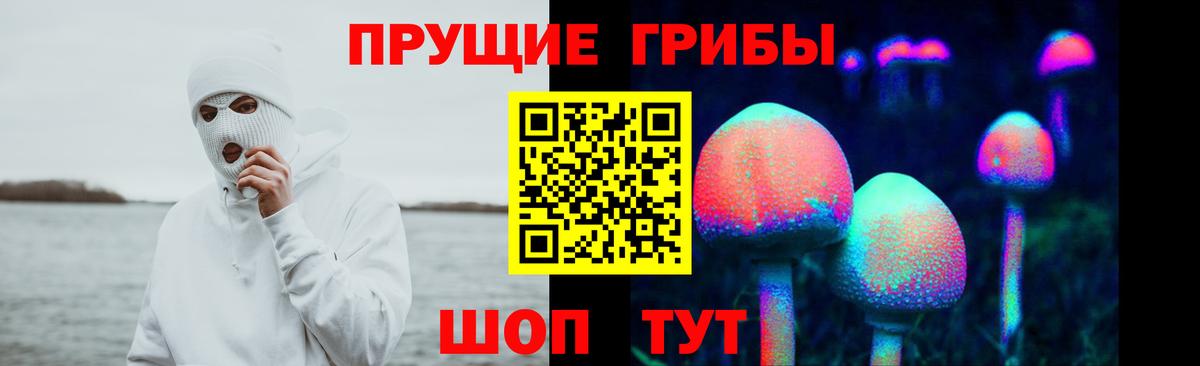 Галлюциногенные грибы Psilocybe  Галлюциногенные грибы Cubensis  Вход с VPN  Минусинск 
